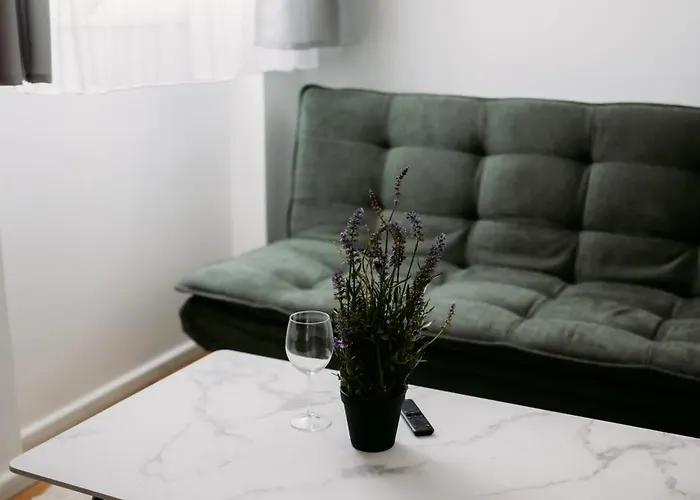 Free Parking, Nespresso, Netflix Apartment Wels